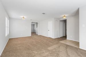 featured image of 25615 Velvet Rose