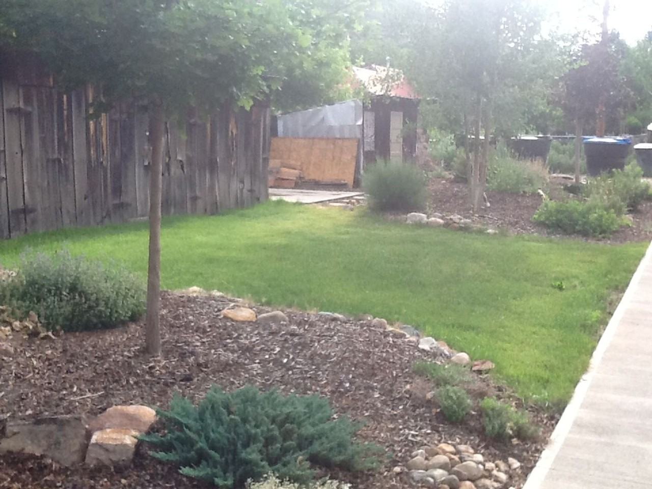 342 E 3rd St - Photo 3 of 3