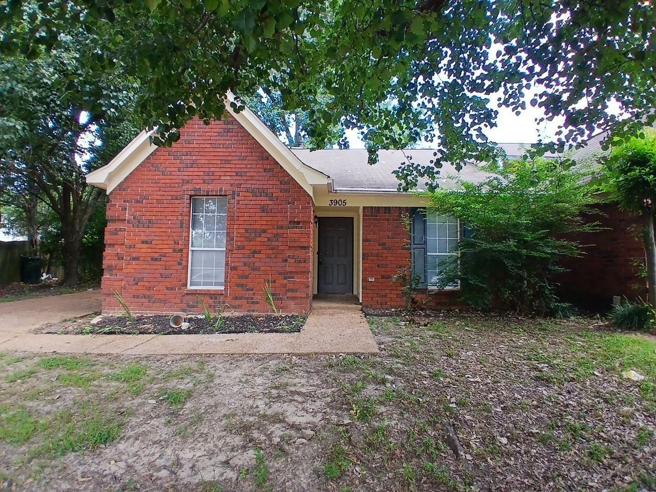 3905 Moss Bank Cv - Photo 2 of 12