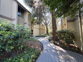505 Cypress Point Dr #209 - Photo 1 of 1
