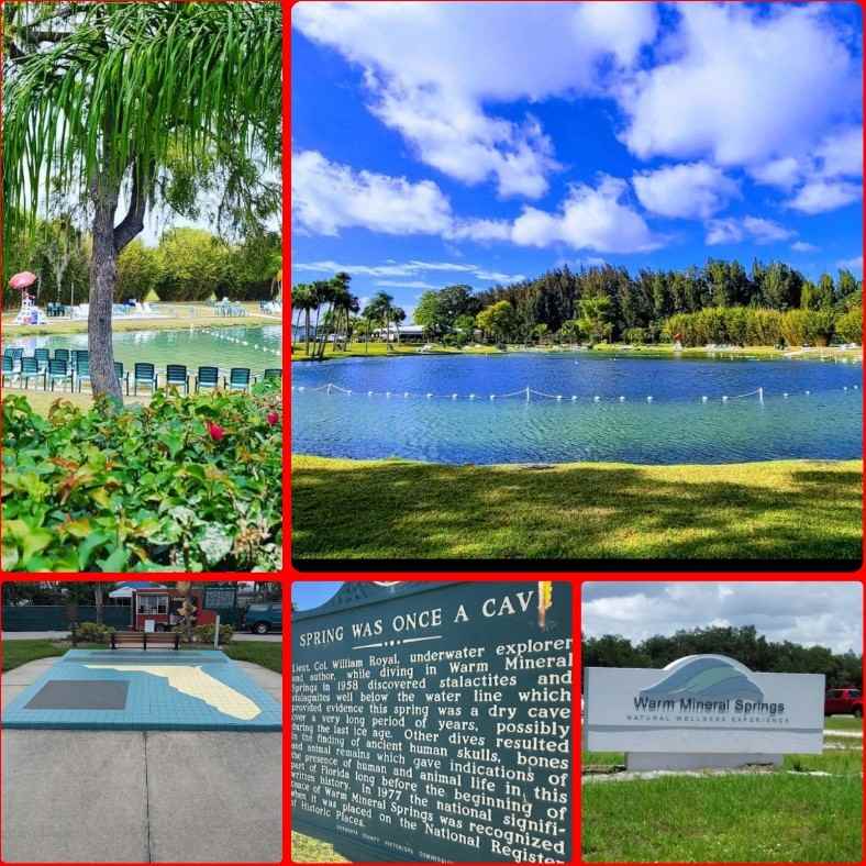 2822 Palomar St - Photo 4 of 46