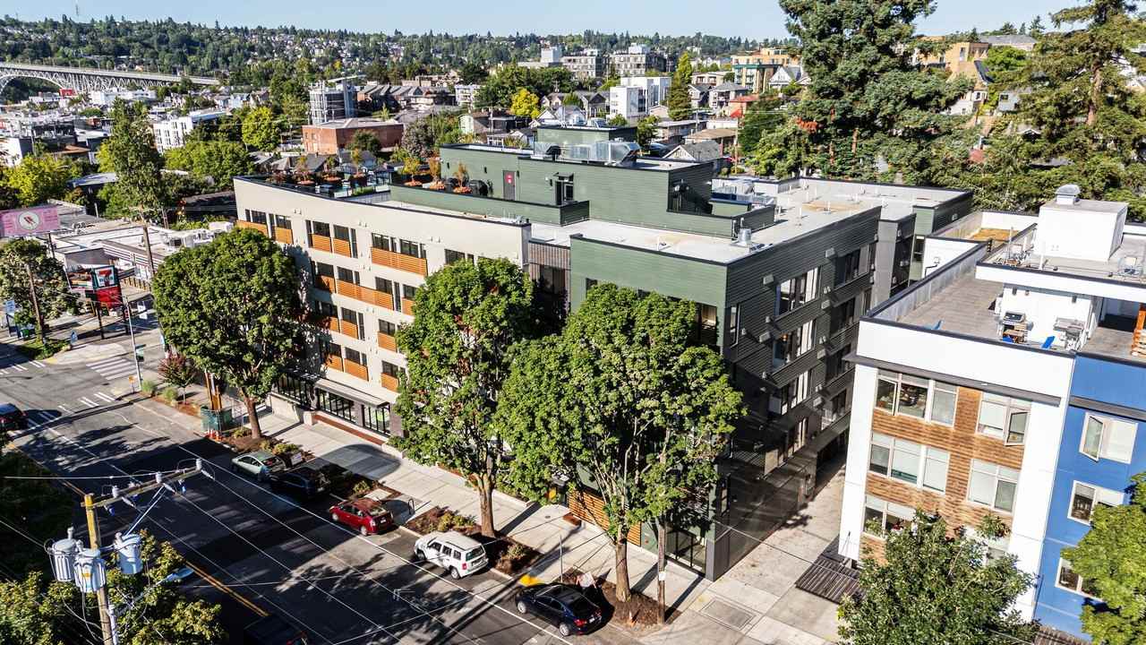 Reed - Photo 2 of 34