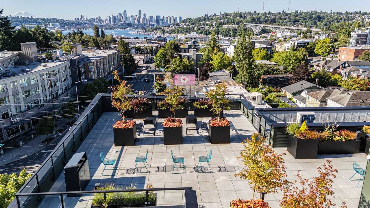 Reed - Photo 3 of 34