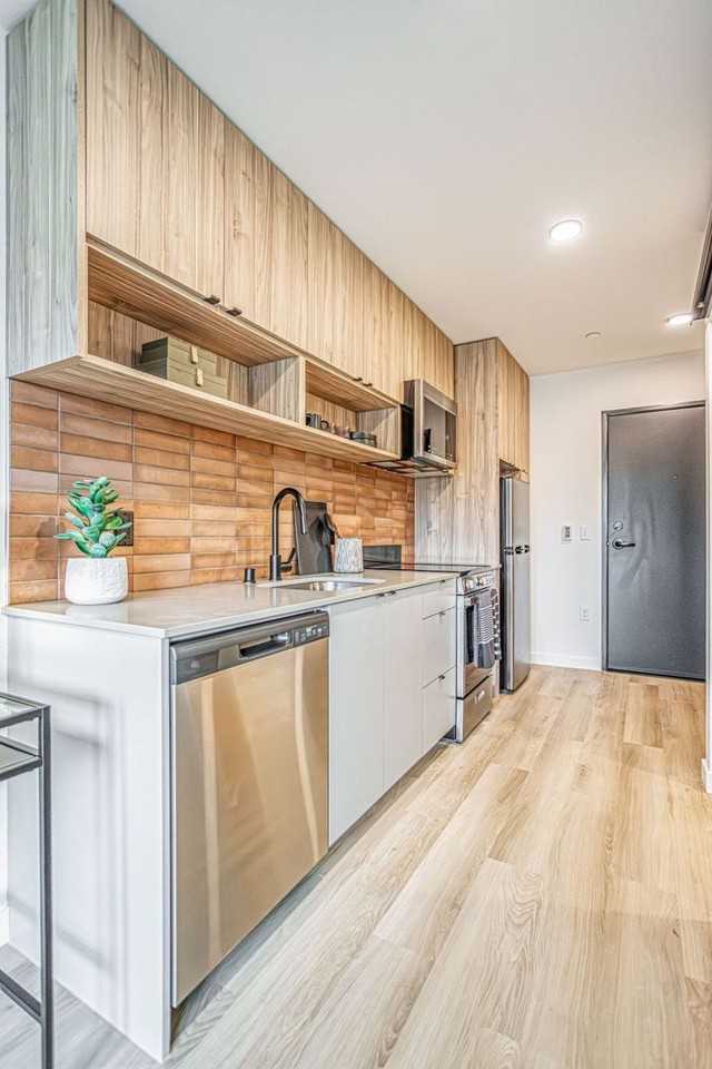 Reed - Photo 2 of 50