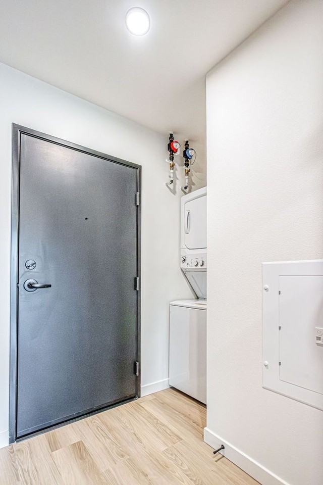 Reed - Photo 3 of 50