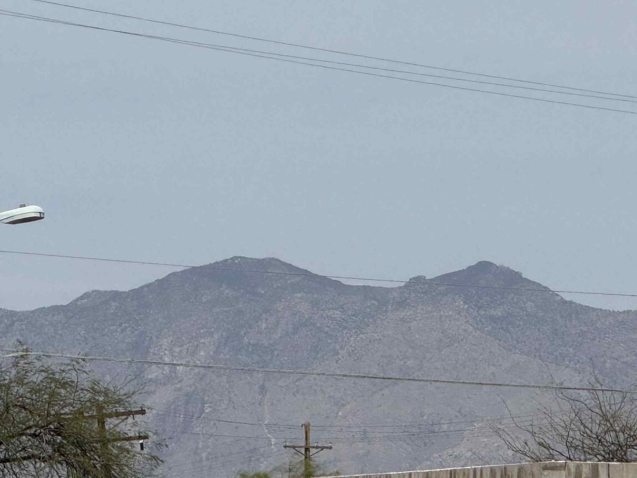 1651 // 705 West Irvington Road - Photo 3 of 15