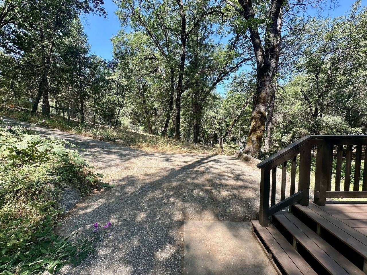 12764 Shady Creek Dr - Photo 3 of 23