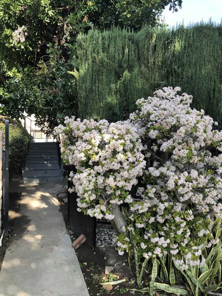 Whiting Development, LLC / 1901 - Photo 3 of 3