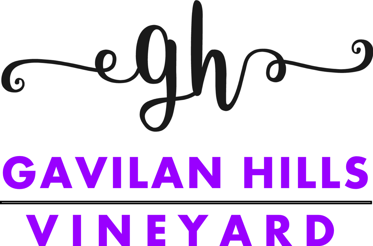 23903 Trail Duster Ct #NA - Photo 3 of 24