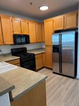 1646 Paseo Aurora - Photo 1 of 1