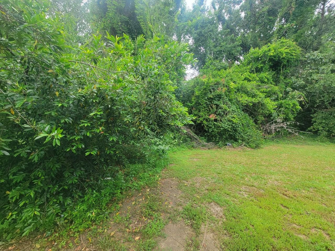 2441 Dickey Rd - Photo 6 of 23