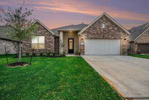 featured image of 705 Western Fern