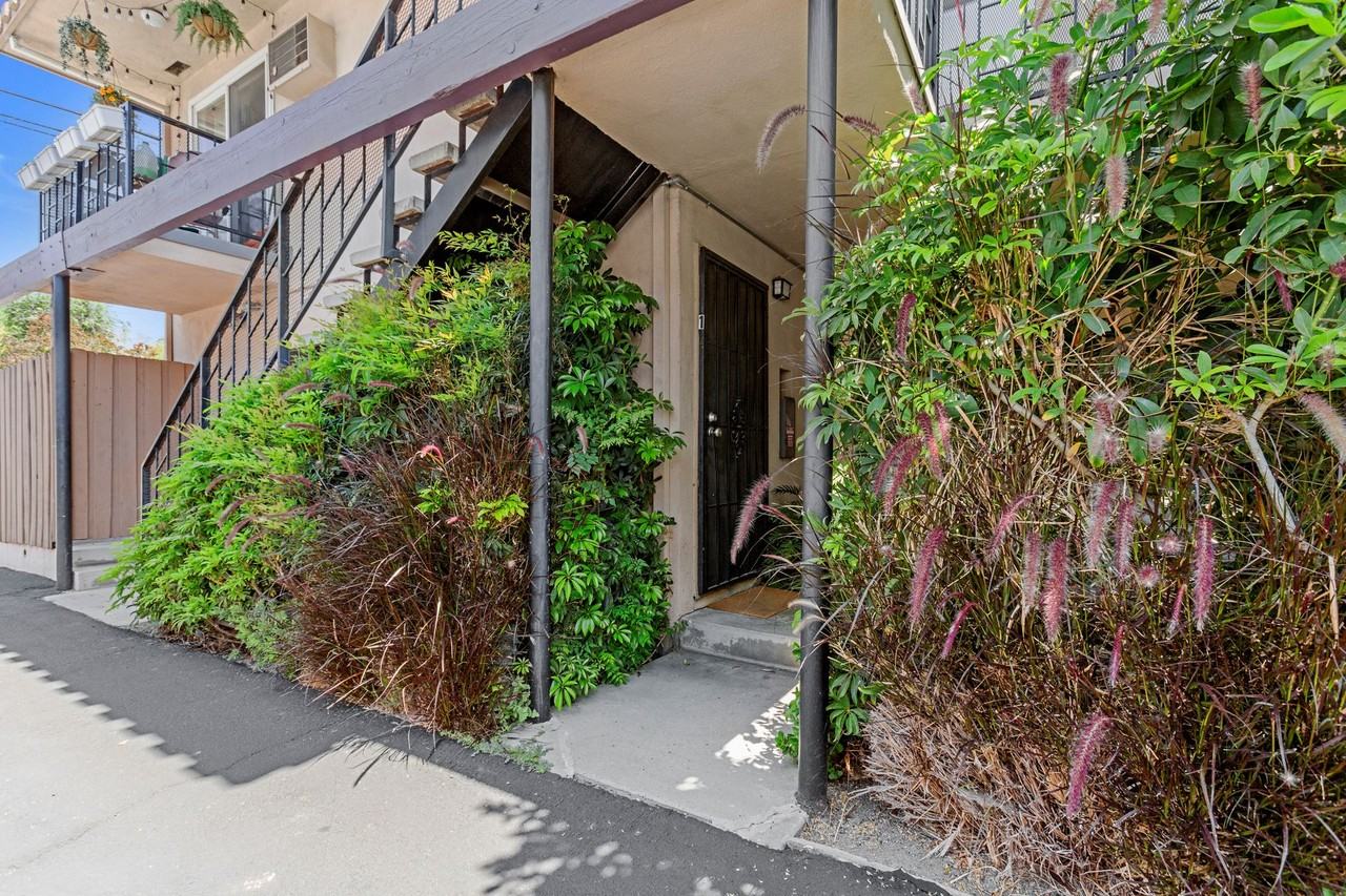 Rowena - Photo 2 of 3