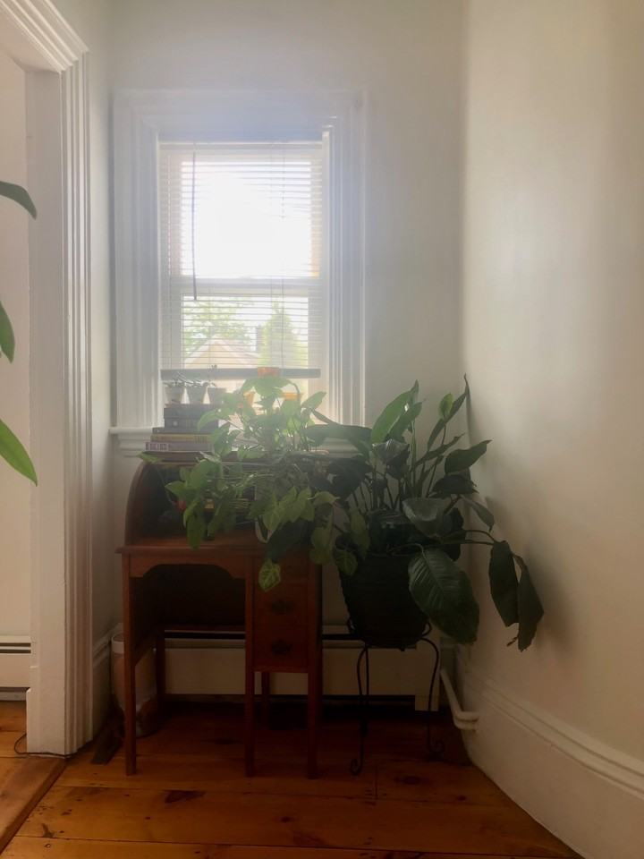 390 Main St #2 - Photo 2 of 13