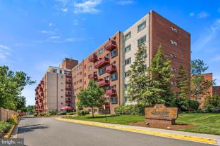 1830 Columbia Pike #409 - Photo 1 of 1