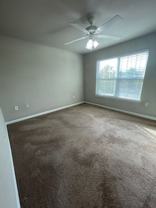 17-1731 Momen - Photo 1 of 1