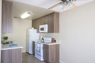 Gold Coast Apartments - Photo 1 of 1