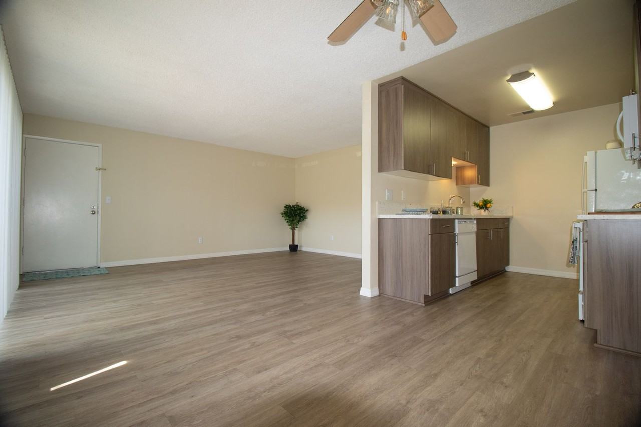 Gold Coast Apartments - Photo 3 of 13