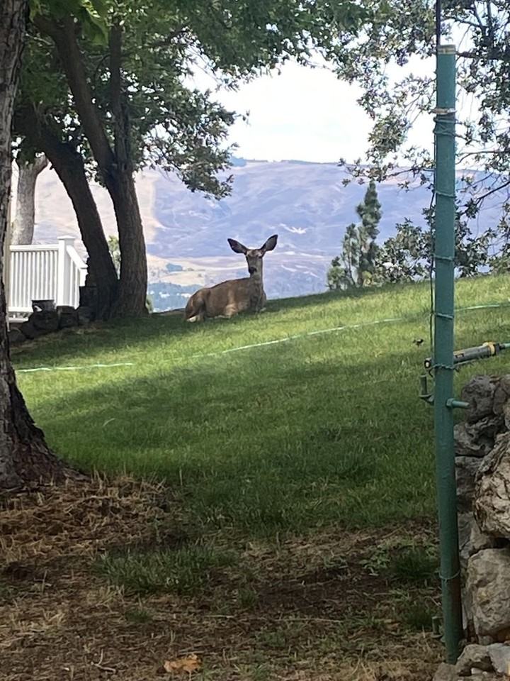 100 E 15th St - Photo 3 of 20