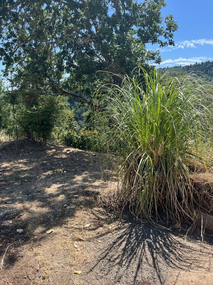 1267 Yokum Road - Photo 2 of 27