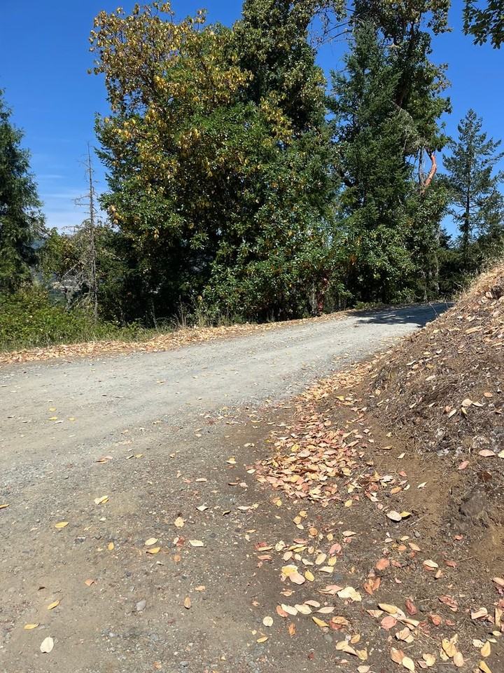 1267 Yokum Road - Photo 7 of 27