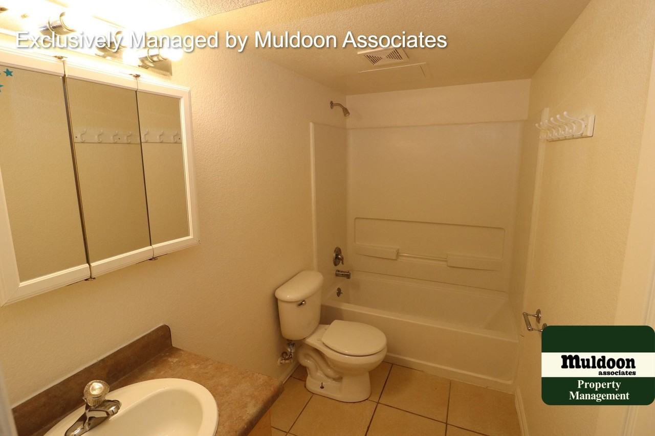 1661 W Siesta Dr - Photo 4 of 19