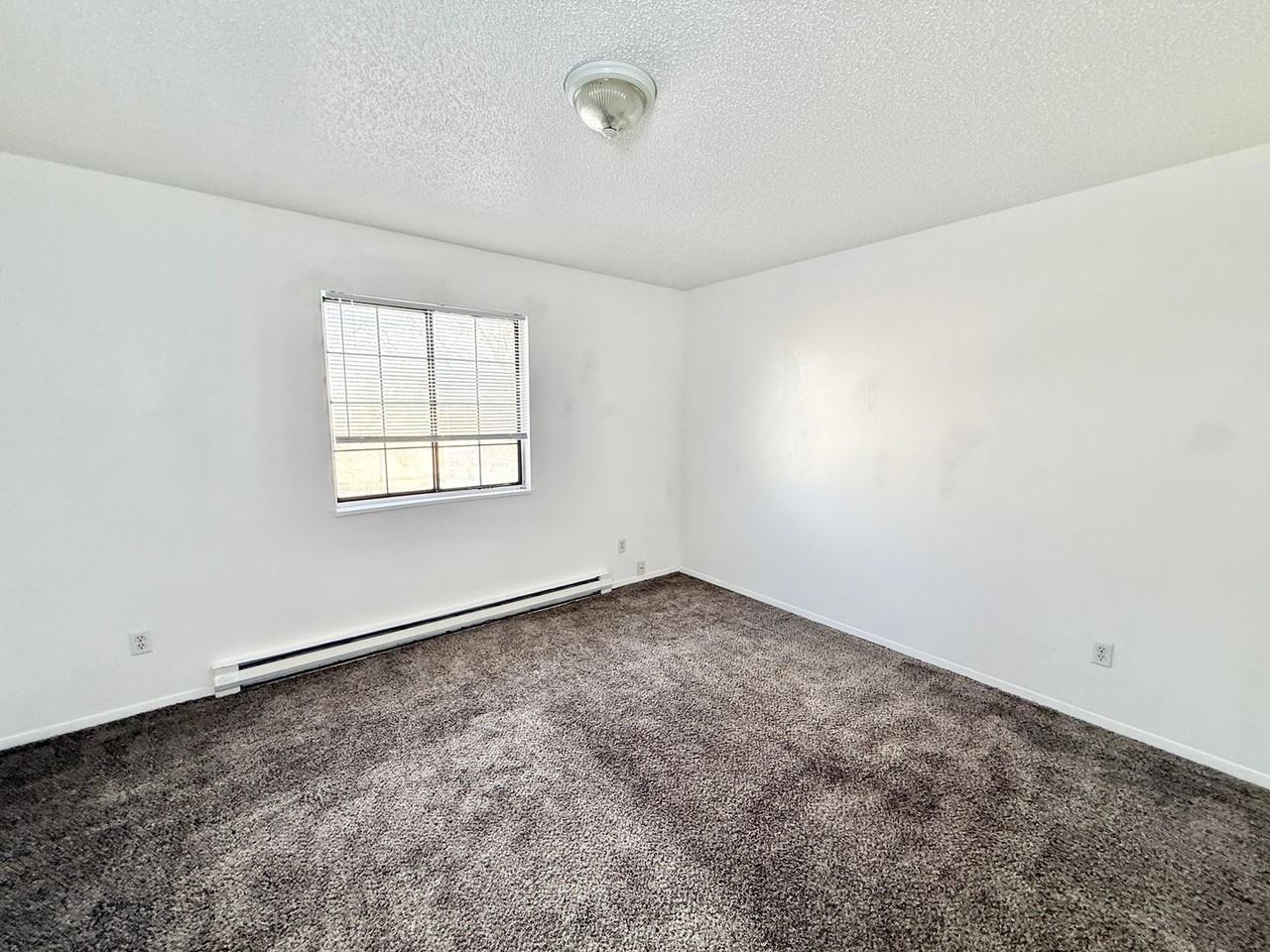 37 Royal Crest Drive #D - Photo 5 of 13