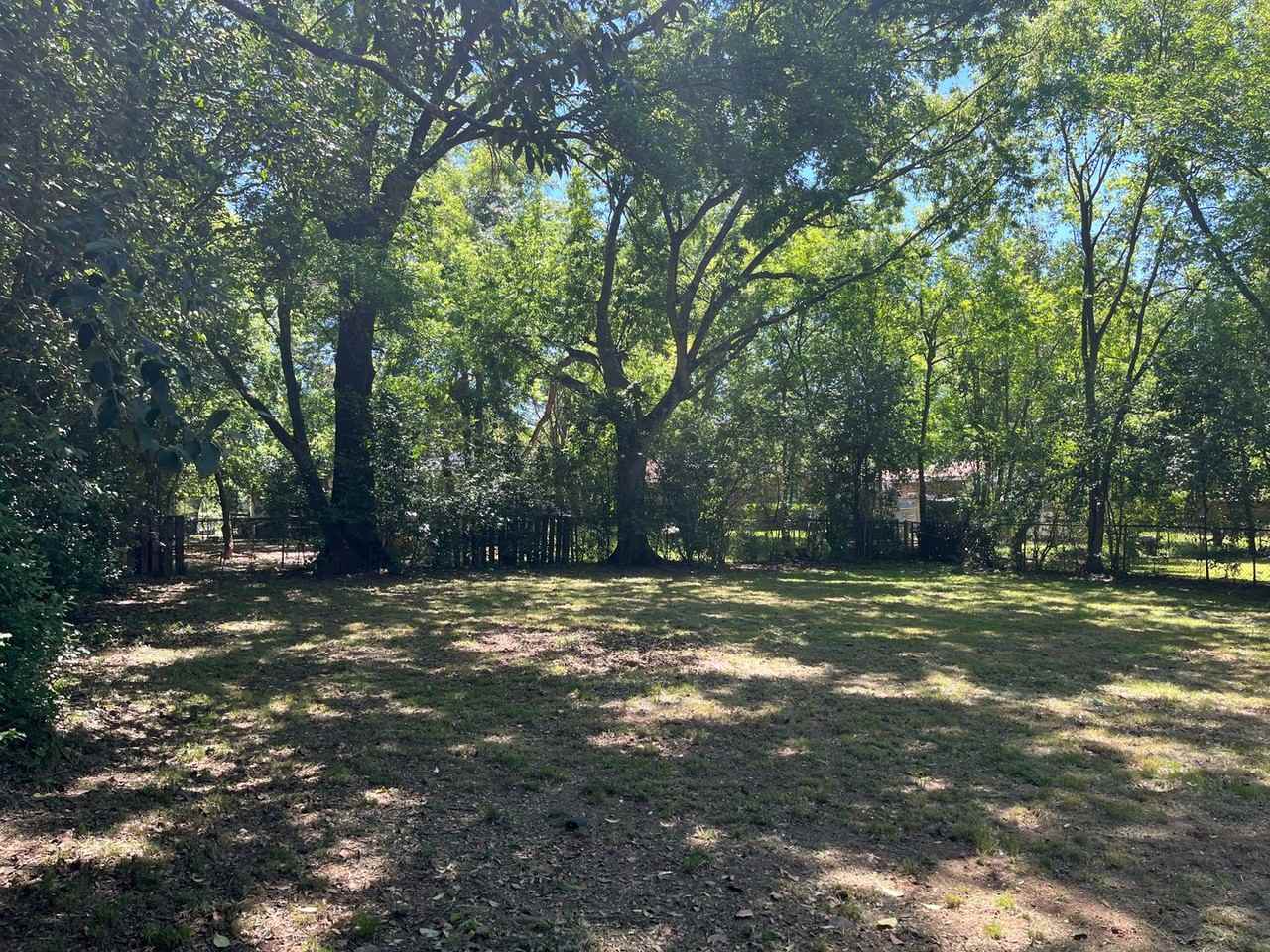 2914 Blan St - Photo 4 of 23