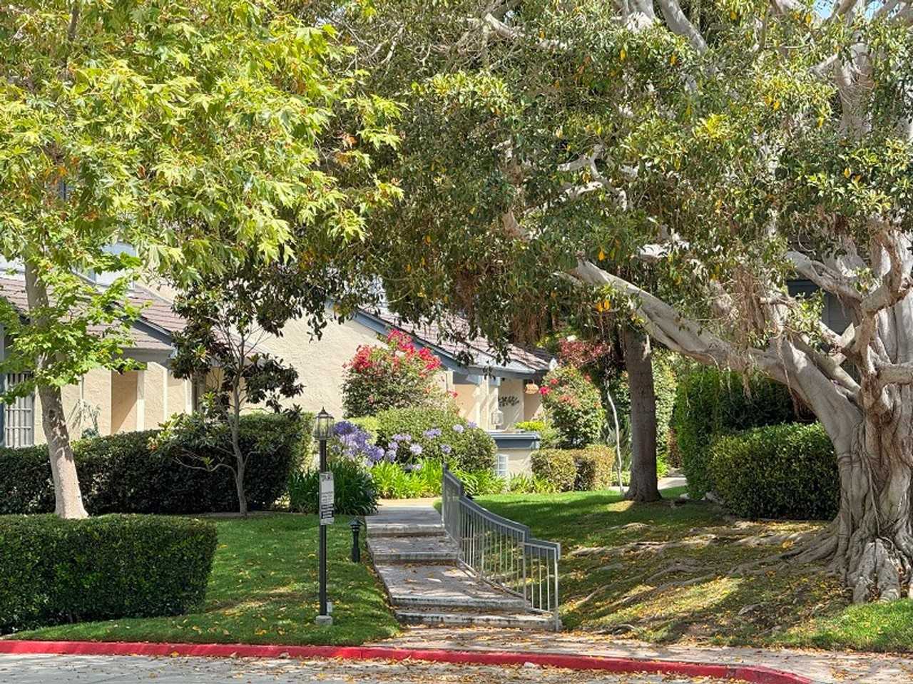 3117 Morning Way - Photo 2 of 38