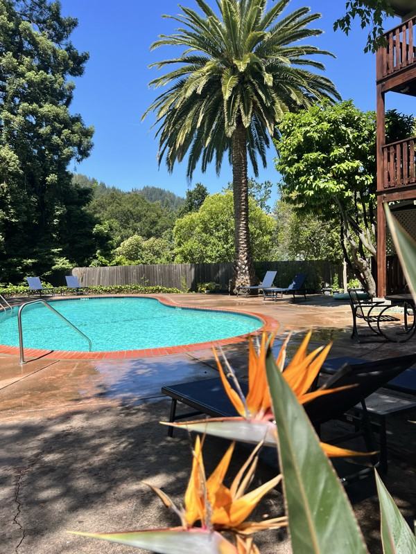 1115 Sir Francis Drake Boulevard - Photo 6 of 17