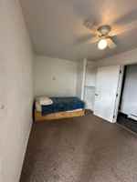 featured image of 790 S Dandelion Cir