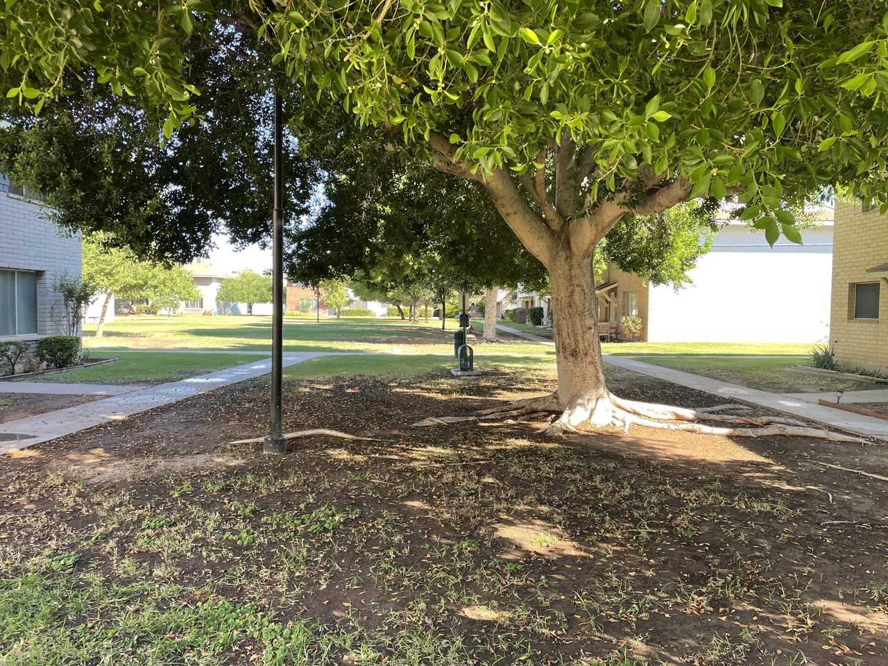 1534 W Campbell Ave #159 - Photo 2 of 25