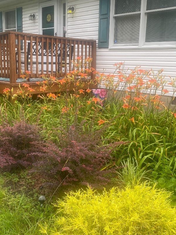 18610 Three Notch Rd - Photo 7 of 8