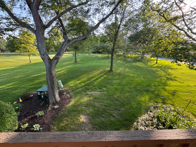 29620 Gleneagles Rd #C - Photo 2 of 18