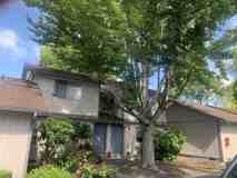 Rockwood Park Apartments - Photo 1 of 1