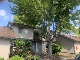 featured image of 3976 Rockwood Park Dr Ne