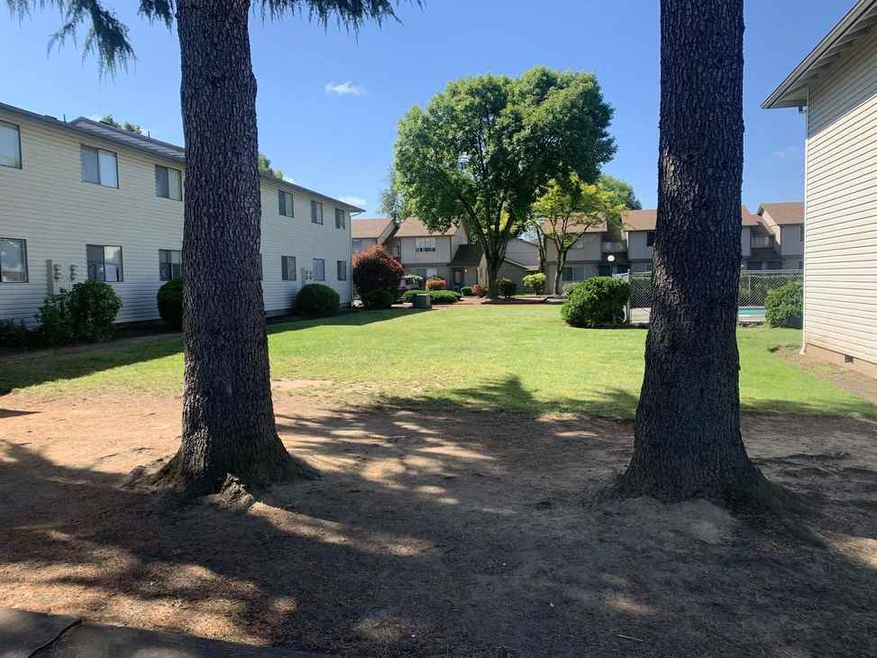 Rockwood Park Apartments - Photo 2 of 12