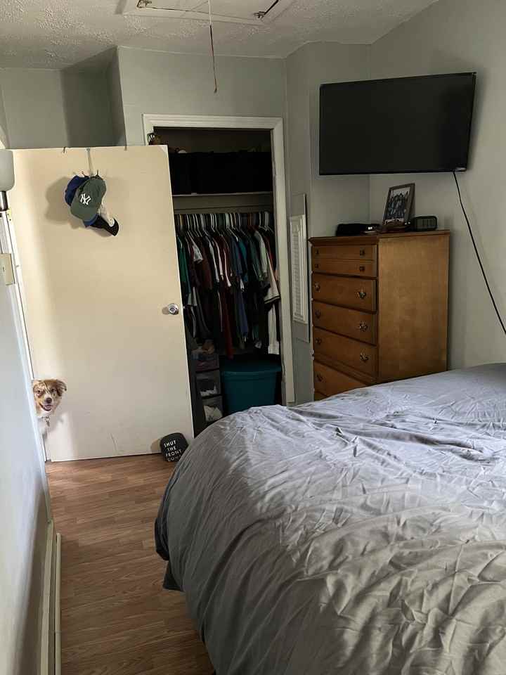 2699 Green St #NA - Photo 6 of 17