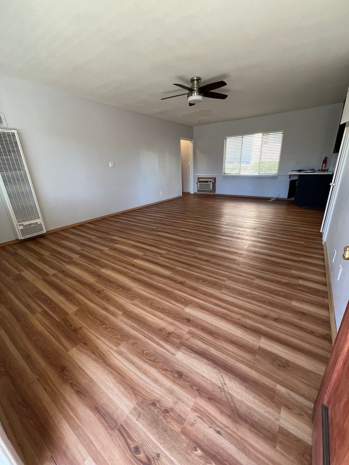 Spacious 1 Bedroom-1 Bath, Near CalTech & PCC - Del Mar - Photo 5 of 10