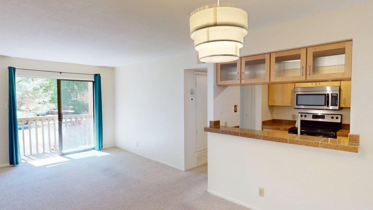 941 Calle Mejia - Photo 4 of 27