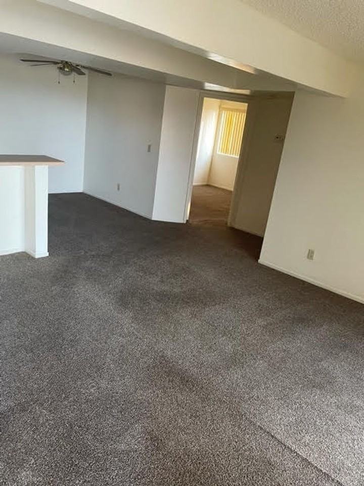 3830 Desert Marina Dr #169 - Photo 4 of 12