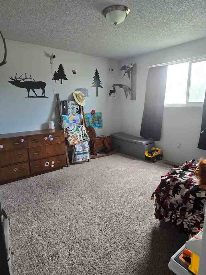 4626 Alpine Dr - Photo 2 of 18