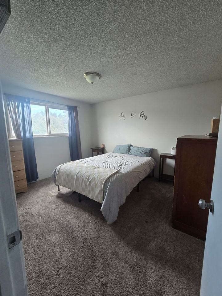 4626 Alpine Dr - Photo 4 of 18