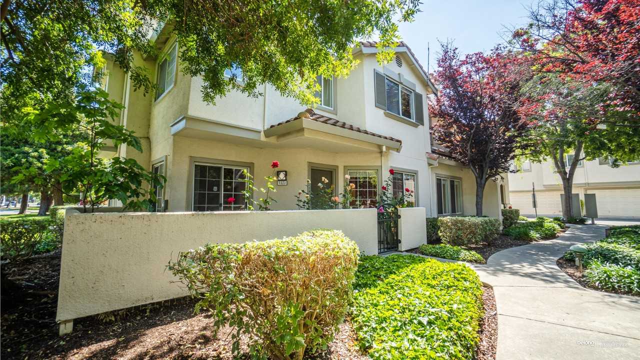 1171 Tea Rose Cir - Photo 5 of 50