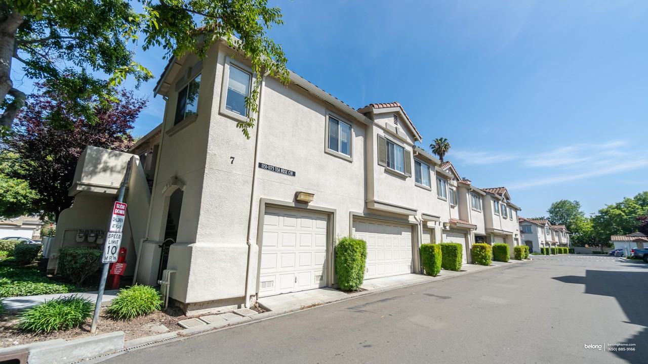 1171 Tea Rose Cir - Photo 7 of 50
