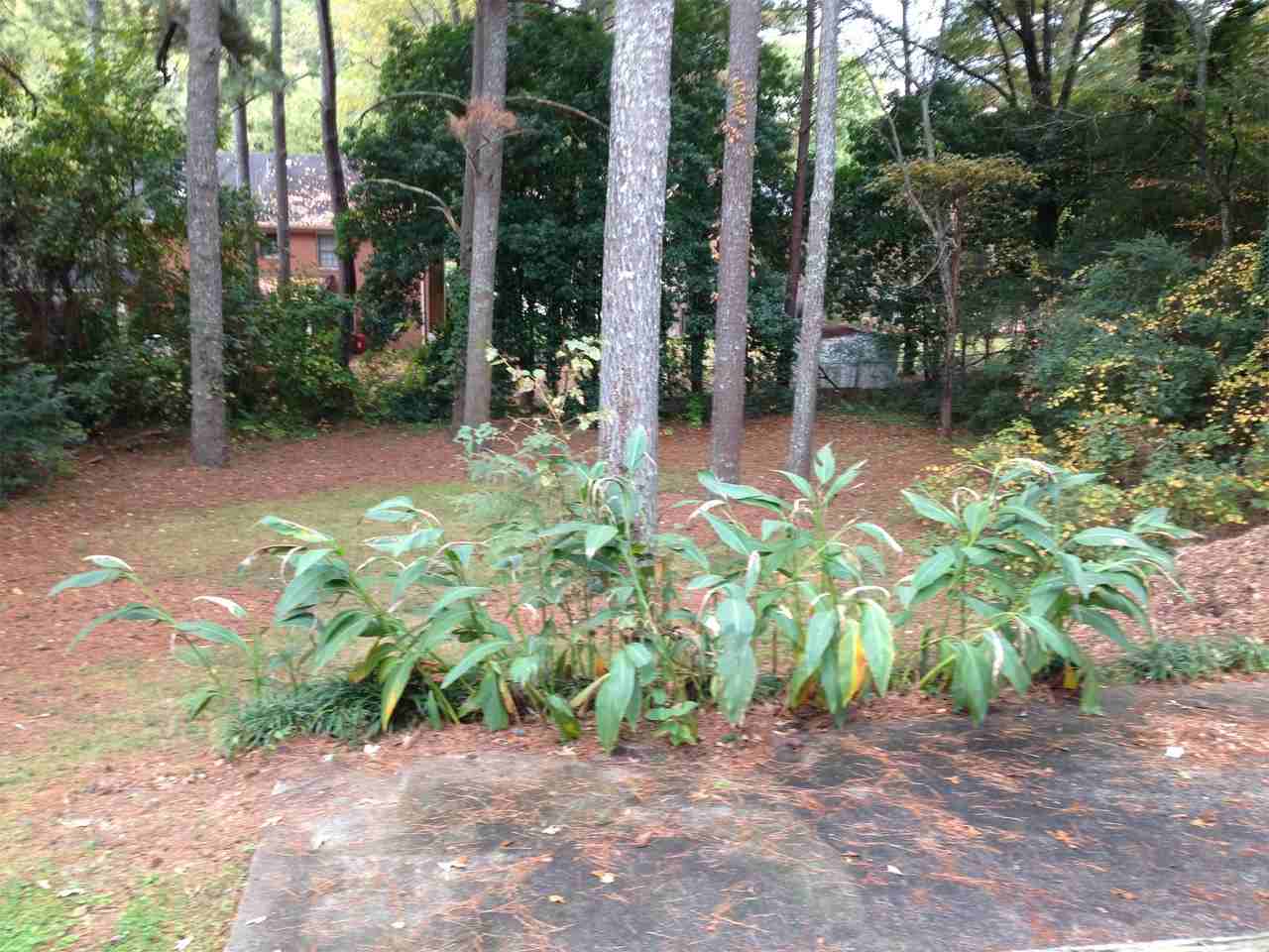 4267 Chamblee - Photo 3 of 18