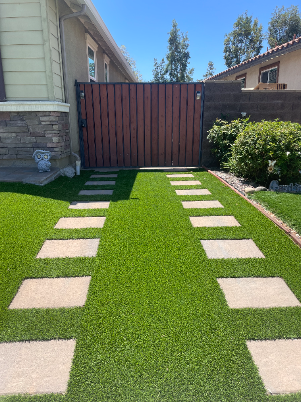 29533 Mascot - Photo 2 of 14