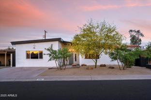 2307 N 51st Pl - Photo 1 of 1