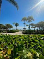 10275 Collins Ave #201 - Photo 1 of 1