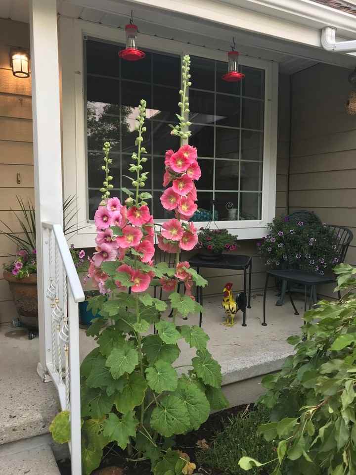 1497 E Spring Leaf Dr - Photo 3 of 22